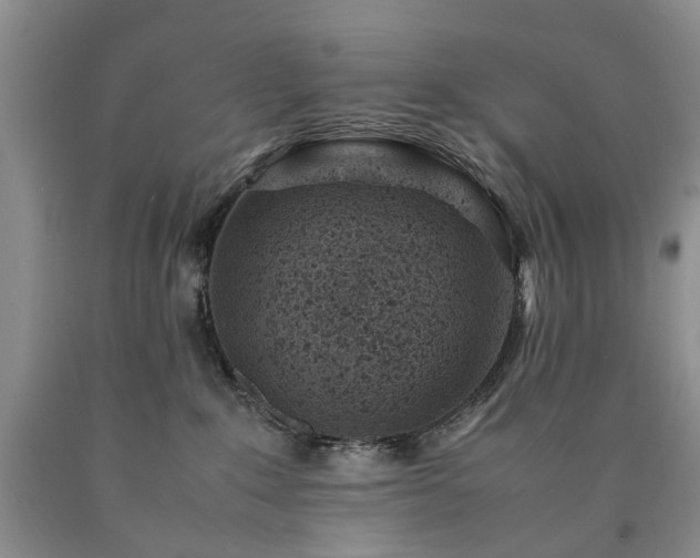 X0000090450235200707201320