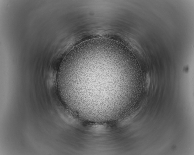 X0000090450236200707201320