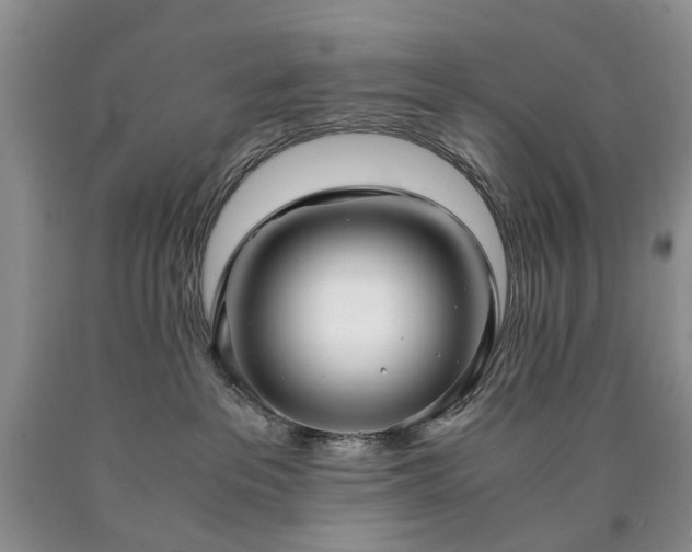 X0000090450237200707201320