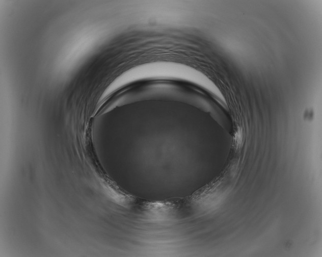 X0000090450239200707201320