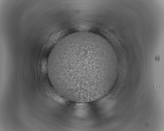 X0000090450240200707201320