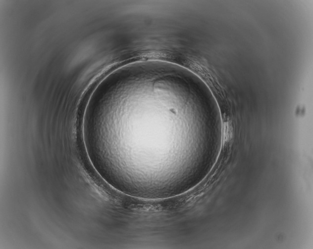 X0000090450243200707201319