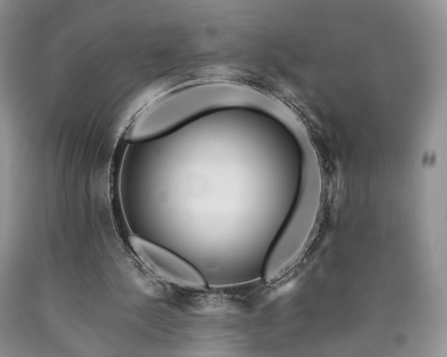 X0000090450244200707201319