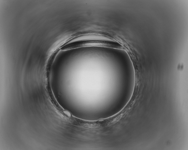 X0000090450245200707201319