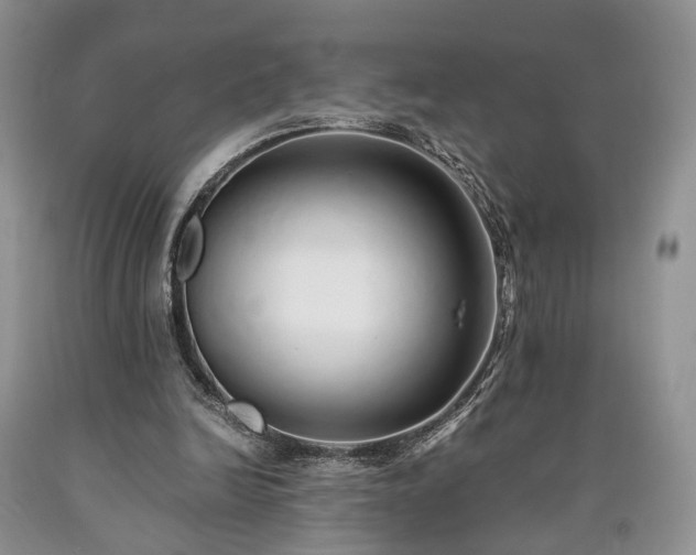 X0000090450246200707201319