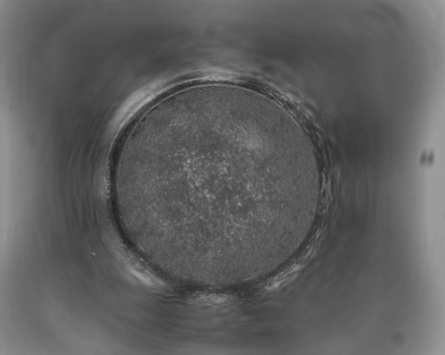 X0000090450247200707201319