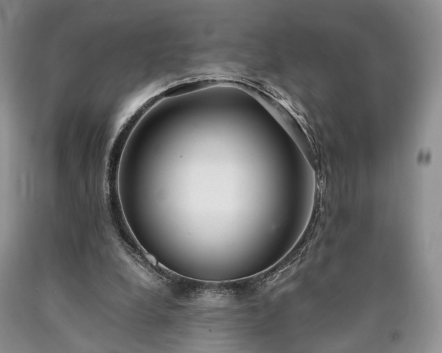 X0000090450248200707201319