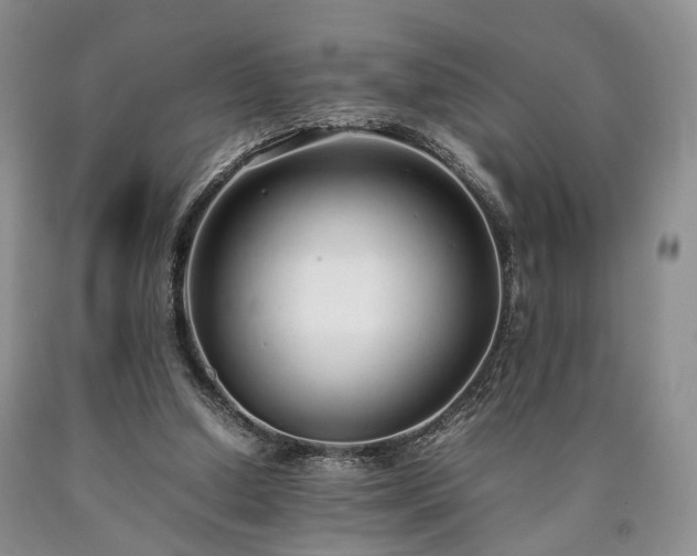 X0000090450250200707201319