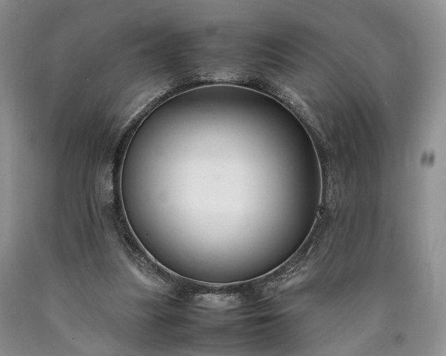 X0000090450251200707201319