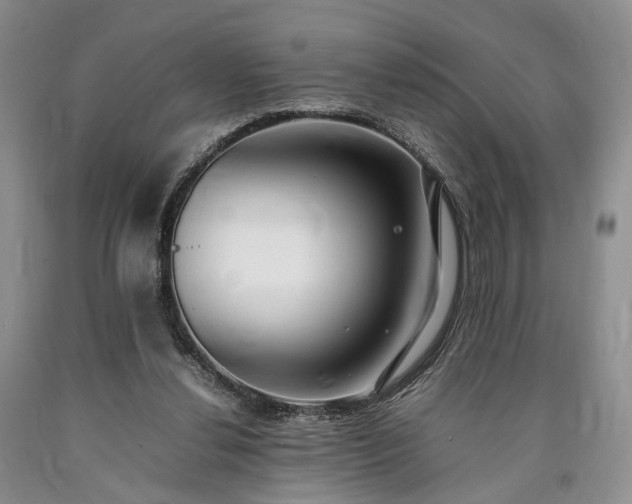 X0000090450252200707201319