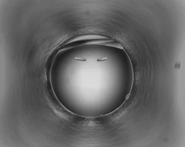 X0000090450254200707201319