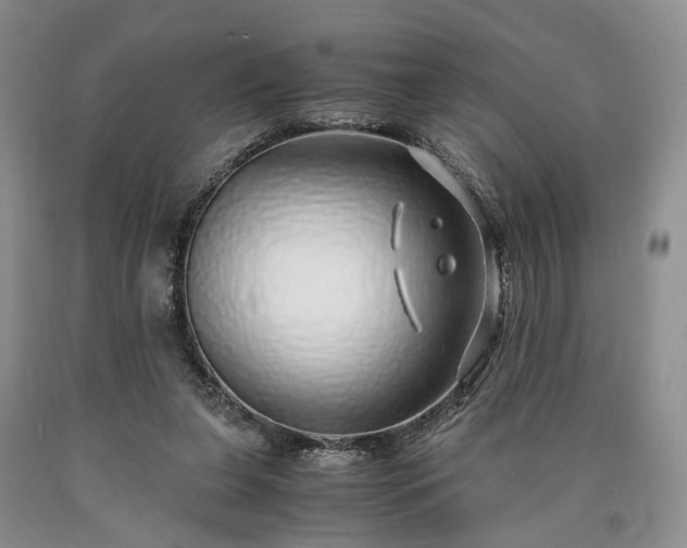 X0000090450255200707201319