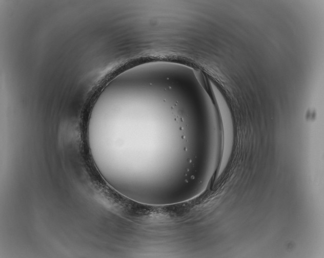 X0000090450256200707201319