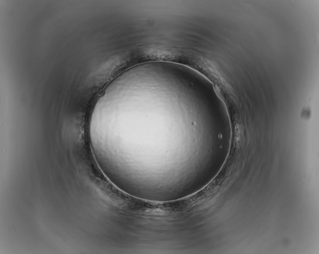 X0000090450259200707201319