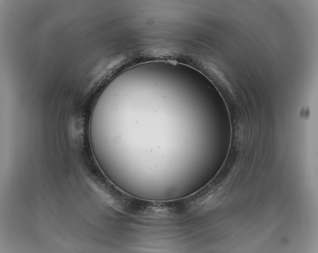 X0000090450260200707201319