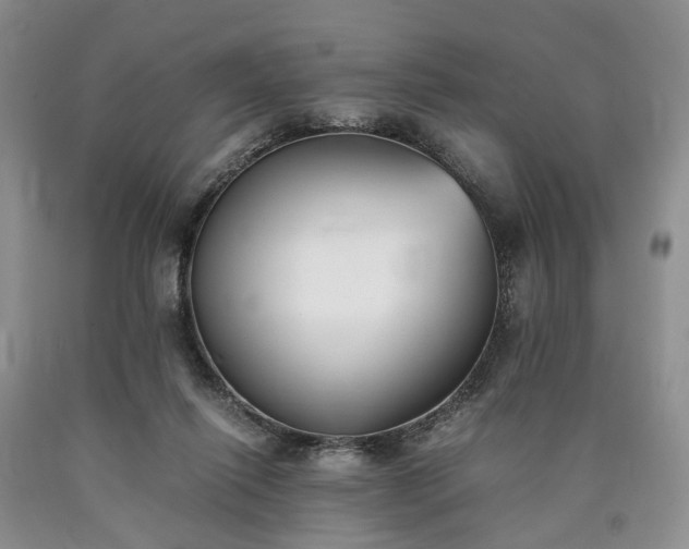 X0000090450262200707201319