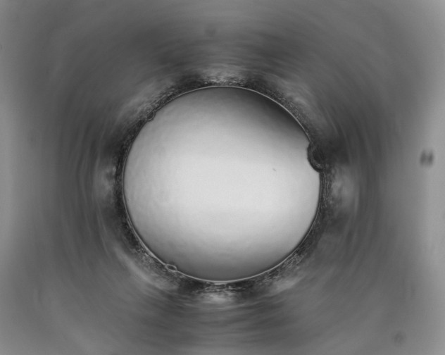 X0000090450263200707201319