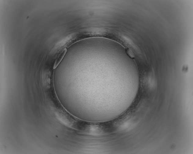 X0000090450264200707201319