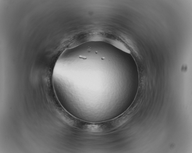 X0000090450265200707201320