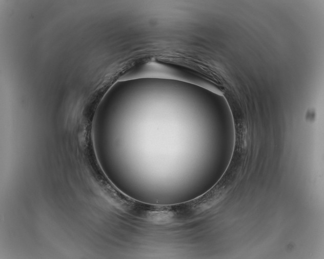 X0000090450266200707201320