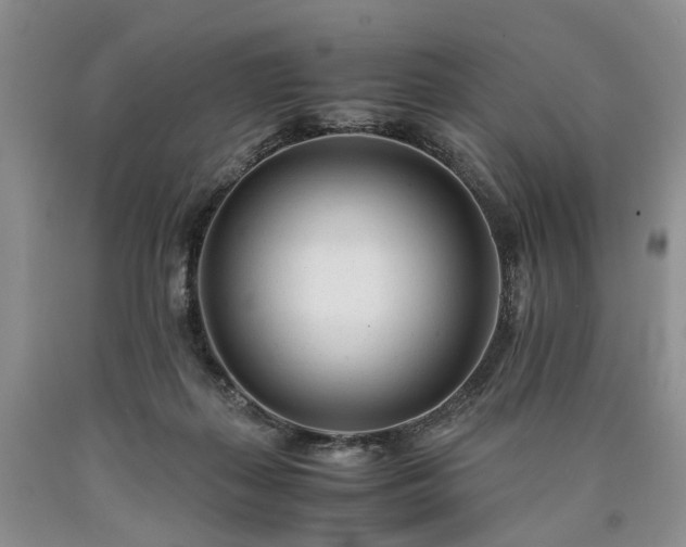 X0000090450267200707201320