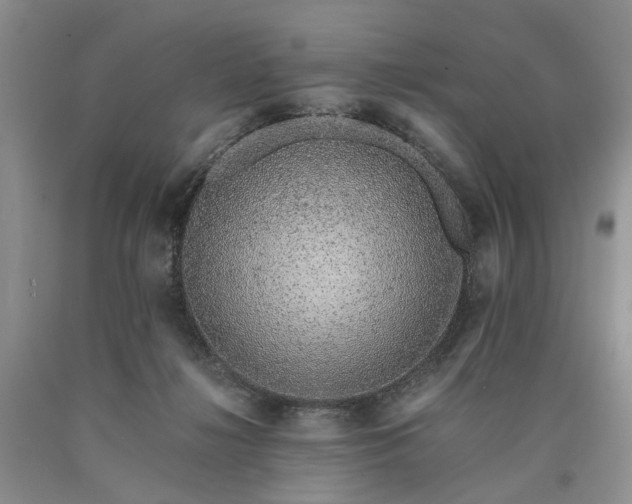 X0000090450268200707201320