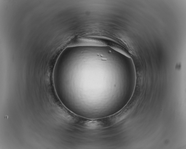 X0000090450269200707201320