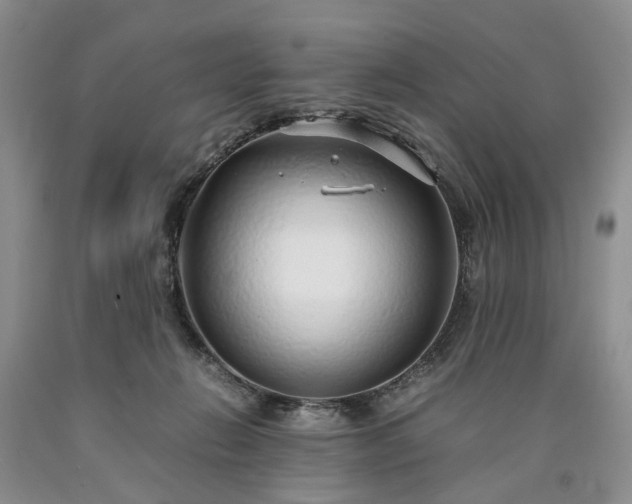 X0000090450270200707201320