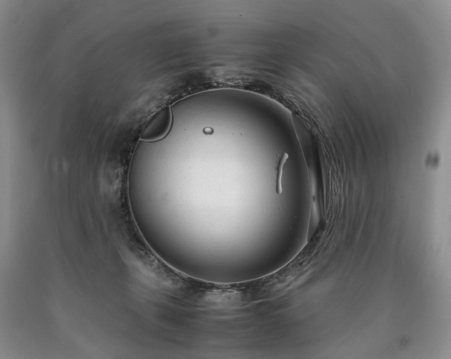 X0000090450271200707201320