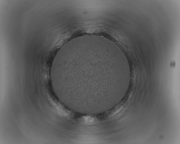 X0000090450272200707201320