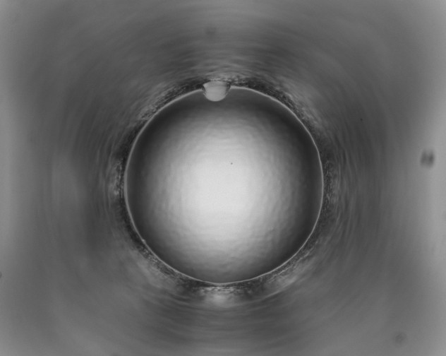 X0000090450273200707201320