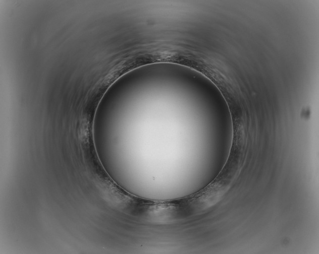 X0000090450274200707201320