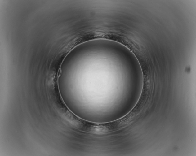 X0000090450275200707201320