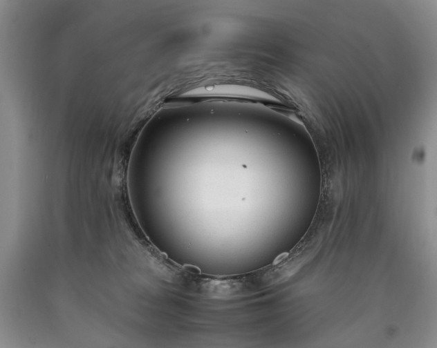 X0000090450277200707201320