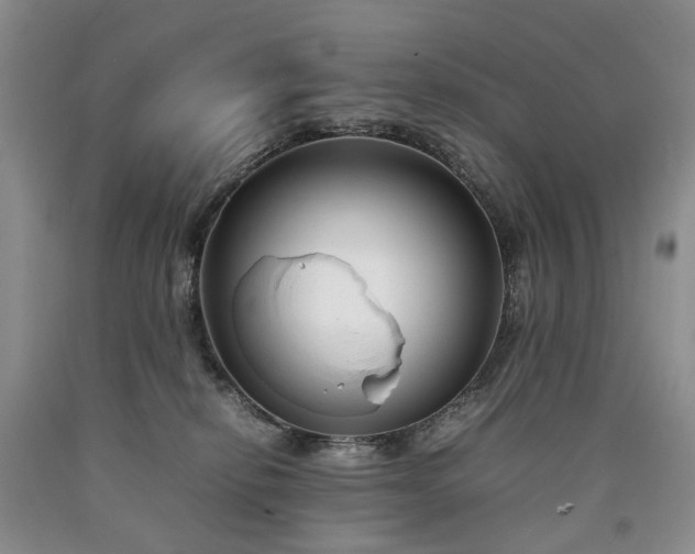 X0000090450278200707201320