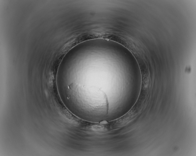 X0000090450279200707201320