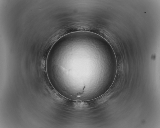 X0000090450281200707201320