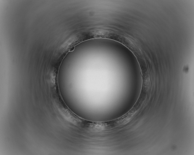 X0000090450282200707201320