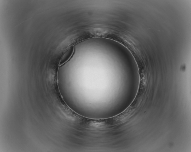 X0000090450283200707201320