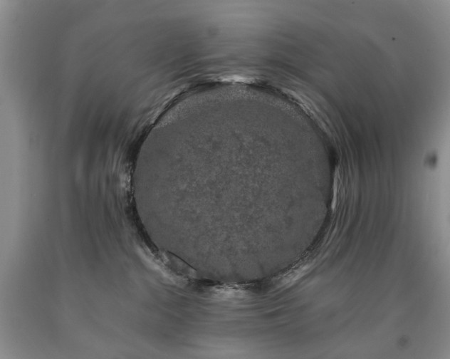 X0000090450284200707201320