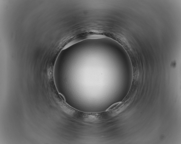 X0000090450285200707201320