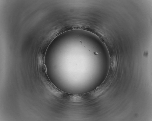 X0000090450287200707201320