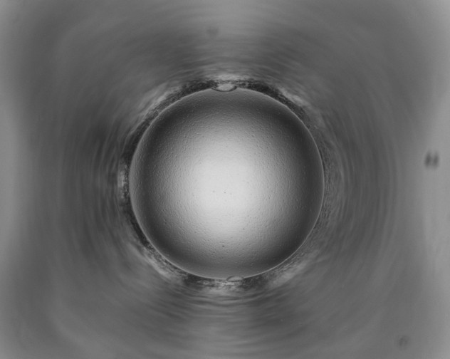 X0000090450288200707201320