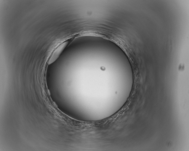 X0000090450289200707201319