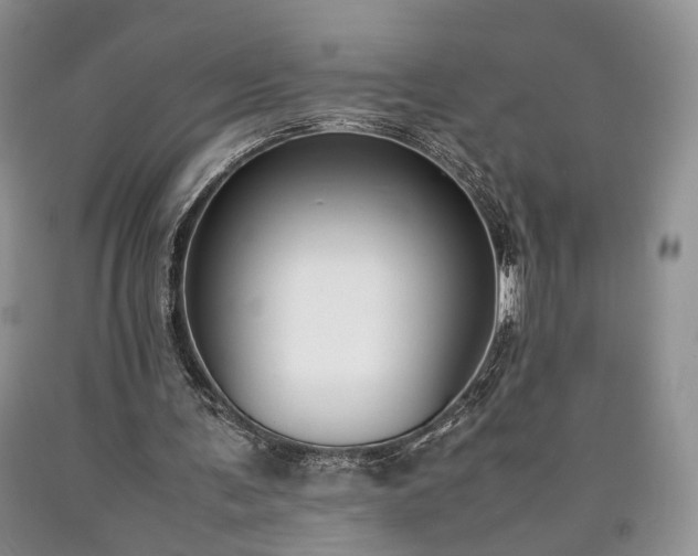 X0000090450291200707201319