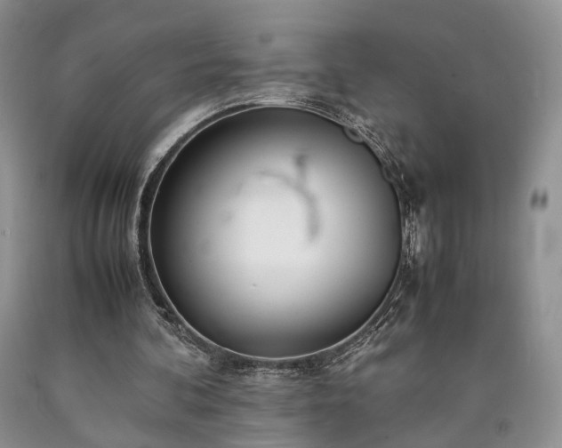 X0000090450292200707201319