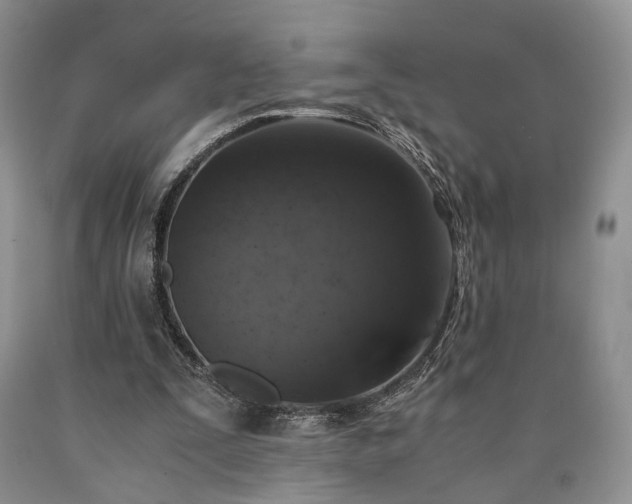 X0000090450295200707201319