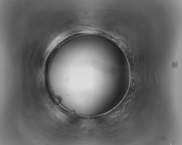 X0000090450296200707201319