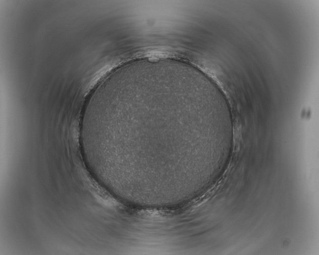 X0000090450297200707201319