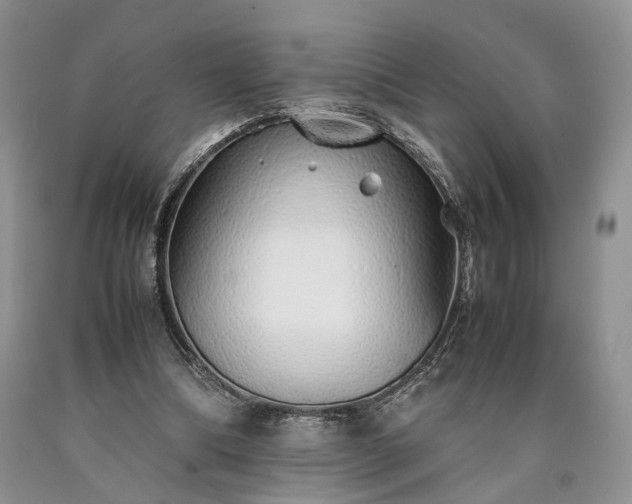 X0000090450298200707201319